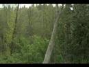 SFPR Part 1 - The South Fraser Perimeter Road