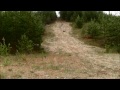 FG Truggy TR4- Running the NEW 2013 Model!