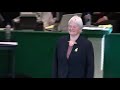 Agility - International - Large - Agility Finals - Crufts 2012