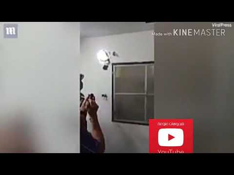 شاهدو ماذا عثروا في جدار أحدى المنازل في بانكوك! - صوت وصوره لايف