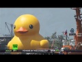 Crazy Alert! Rubber Ducky Disaster!