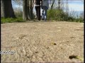 Adi de la Valcea si Diana - Lasa-ma iubire (Manele frumoase de dragoste) HIT