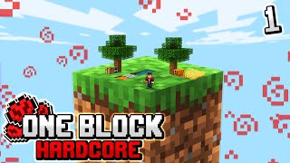 Minecraft Skyblock, but you only get ONE BLOCK.. (hardcore) #1