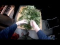 VaderVision E:12 - Flushing and Harvesting Medical Cannabis