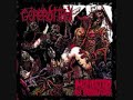 Gorerotted - Gagged, Shagged, Bodybagged