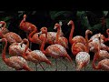Singapore-Top-Travel-Attraction-And-Hotels-Travel-Guide