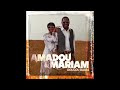 Amadou & Mariam feat. Santigold - Dougou Badia