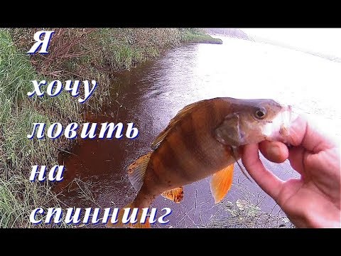 что можно ловить на каналах что можно ловить на каналах