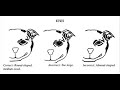 Bully Kutta VS Game dogs ( Feature comparison)