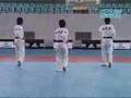 New Kukkiwon Poomsae-Peacock? bikak?