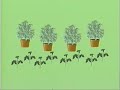 AGreenRoad - How To Grow Medical Marijuana Indoors