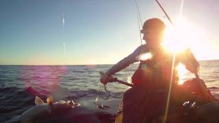 Kayak fishing for NZ Groper / Hapuka with Viking Kayaks NZ