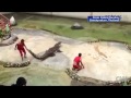 Crocodile bites down onto trainer's head
