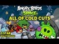 Angry Birds Space: Cold Cuts All Levels!