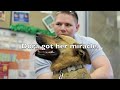 Lost Dog Dora reunited with family after seven months!