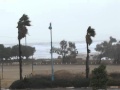 רמי פורטיס משחק בקוביה