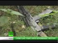 Spetsnaz Special: The Legendary Kalashnikov (RT Documentary)