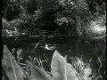 Tarzan and His Mate - River Scene
