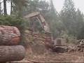 Loading Logs on a Logging Truck