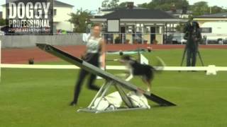 Agility Large final 16 juni 2013