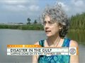 Gulf Spill: Capping the Leak