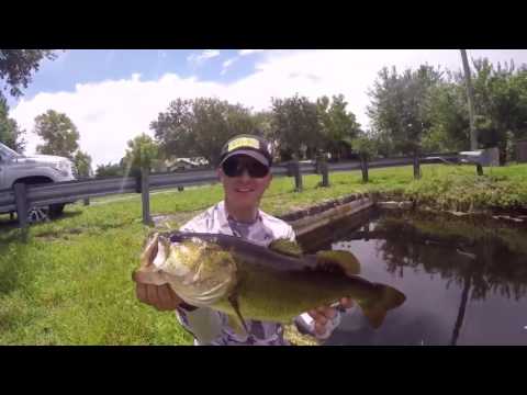 shoreline fishing for largemouth bass in south fl with yum baits