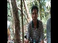 Coffee Growing and Dancing on Buton, Sulawesi, Indonesia