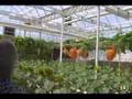 Living With the Land Greenhouses