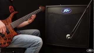 peavey tour 115