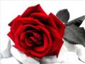 Massimo Ranieri - Rose Rosse