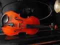 Franz Shubert - Sonata for arpeggione and piano