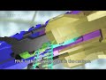 Animation: The Central Dogma