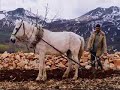 DERSIM BELGESELI