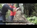 Make you own outdoor adobe oven