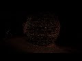 The Catacombs of Paris - Urban Exploration