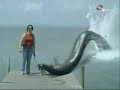 Giant Sea Creature CAUGHT on tape!