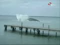 Giant Sea Creature CAUGHT on tape!
