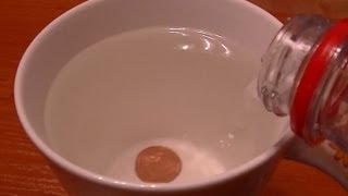 Refraction Of Light in water - Disappearing Coin Trick - Исчезающая монета Magic