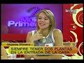 Elementos del hogar que atraen la buena energía y la buena suerte (Parte 1)