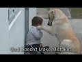 Perro Cuida al Niño - Impactante Video De Amor