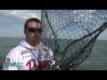 Lake Erie Trophy Walleye
