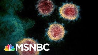 First U.S. Coronavirus Death Confirmed In Washington State | MSNBC" aria-describedby="description-id-442050