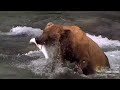 World's Deadliest - Grizzly Bear Attacks Prey