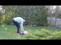 Cat attacks baby - funny !!!