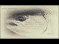 A Skagit Double Spey Tutorial