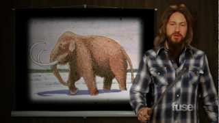 Mastodon's Guide to Mastodons