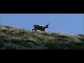 Praterie: Conservation of protected animal species