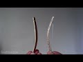How to Make a Mini Bow and Arrow