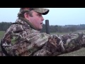 Hunting Fallow Deer for the Table