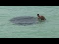 Mysterious Water Creature - Florida 2013